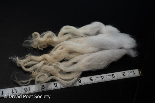 Valais Blacknose Wool Locks