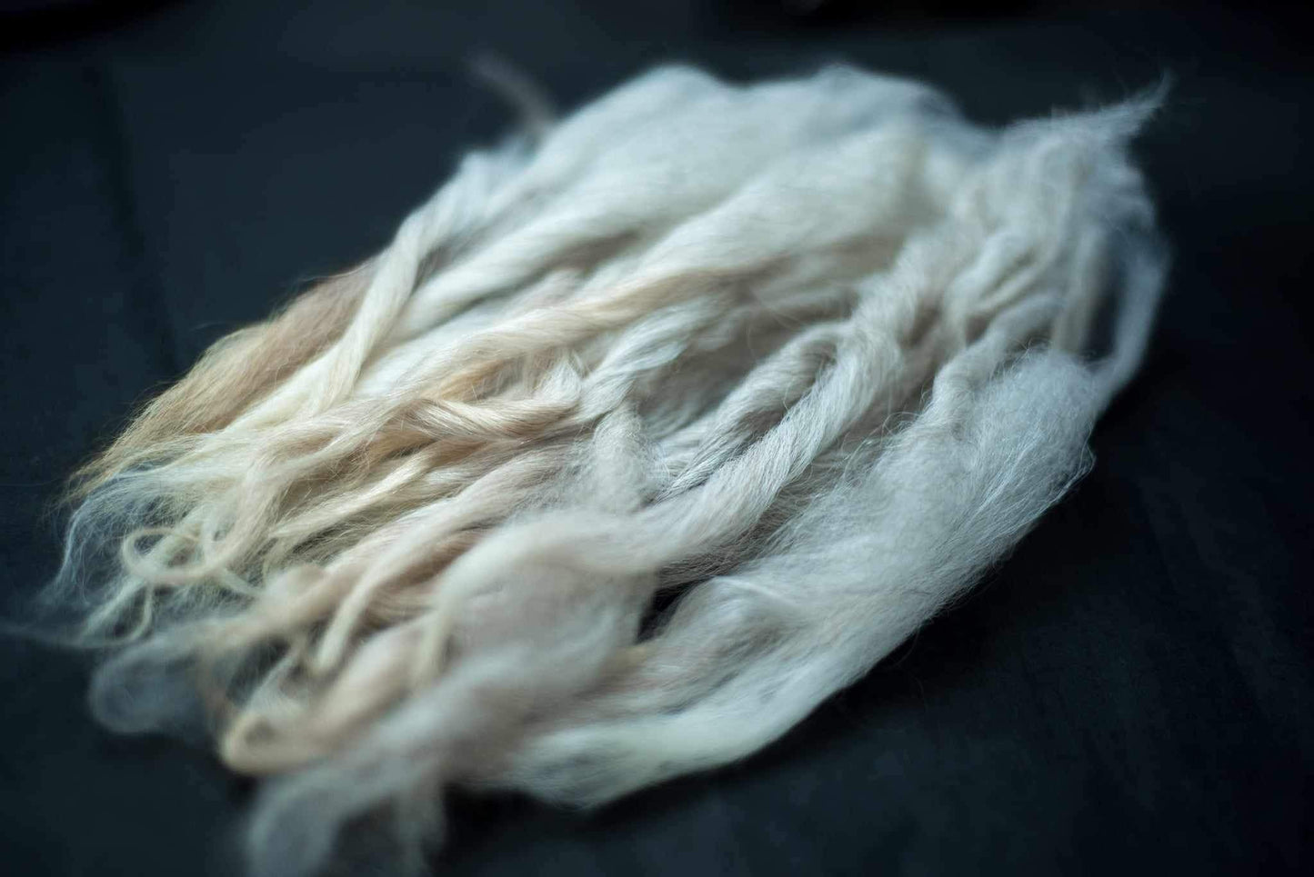 Navajo Churro Wool Locks (1 oz)